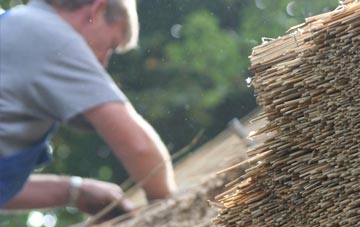 professional Haslington thatchers